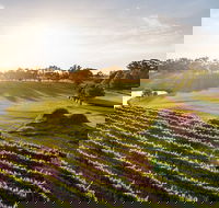 Sandalford Restaurant - Accommodation Kalgoorlie