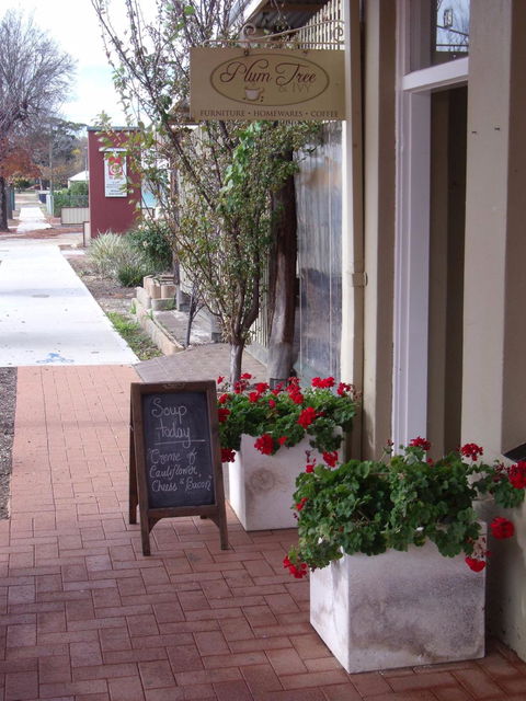Plum Tree And Ivy - Accommodation Kalgoorlie 4