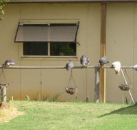 Sandy Grove - Accommodation Kalgoorlie