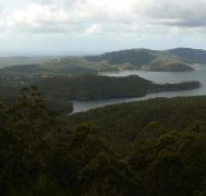 Lower Beechmont Kitchen - Accommodation Kalgoorlie