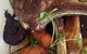 Aromas Cafe Toowoomba - thumb 2