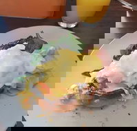 Stock Bar  Grill - Accommodation Kalgoorlie