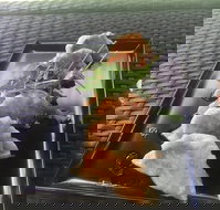 Three Black Sheep Cafe - Accommodation Kalgoorlie