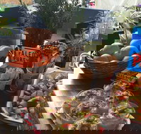 Island fruit Barn - Accommodation Kalgoorlie