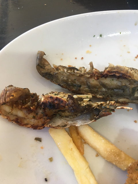 Jacobs Well Bayside Tavern - Accommodation Kalgoorlie 2