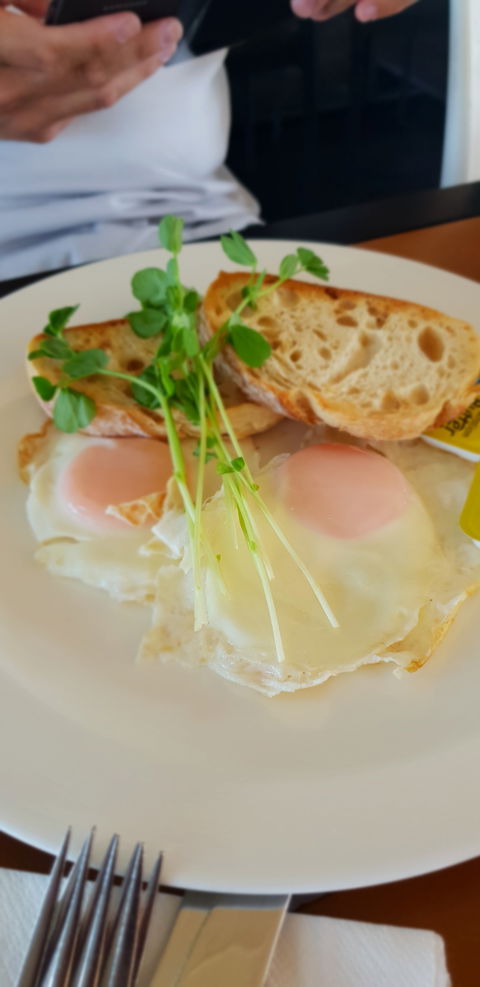 Migaloo's Cafe - Accommodation Kalgoorlie 5