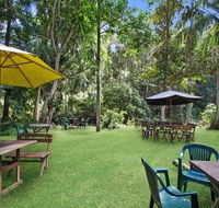 Rainforest - Accommodation Kalgoorlie