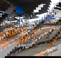 Fat Penguin - Accommodation Kalgoorlie