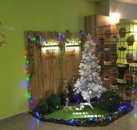 Onggi jonggi - Accommodation Kalgoorlie