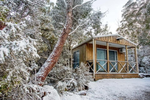 Discovery Parks Cradle Mountain - Accommodation Kalgoorlie 2