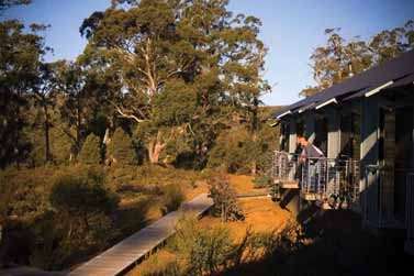 Cradle Mountain Wilderness Village - Accommodation Kalgoorlie 2