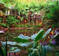 Daintree Eco Lodge  Spa - Accommodation Kalgoorlie
