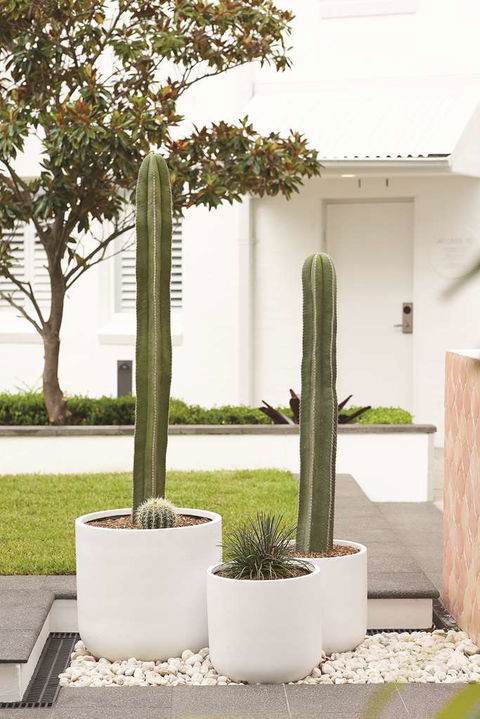 Adina Apartment Hotel Chippendale - Accommodation Kalgoorlie 0