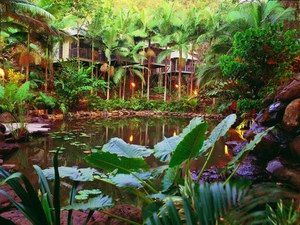 Daintree Eco Lodge & Spa - Accommodation Kalgoorlie 0