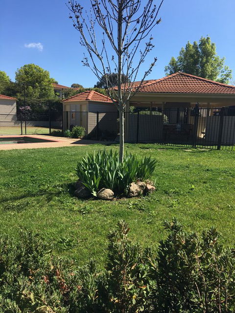 Finches Canberra - Accommodation Kalgoorlie 29