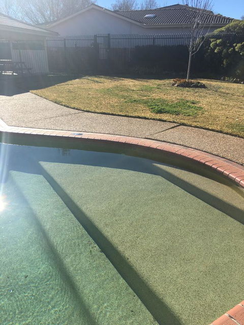 Finches Canberra - Accommodation Kalgoorlie 35