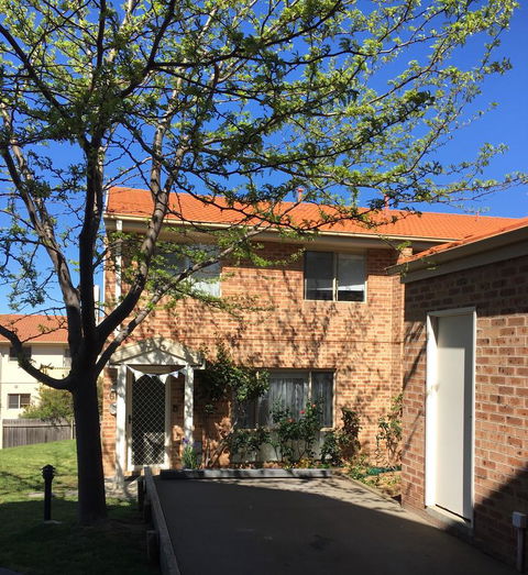 Finches Canberra - Accommodation Kalgoorlie 8