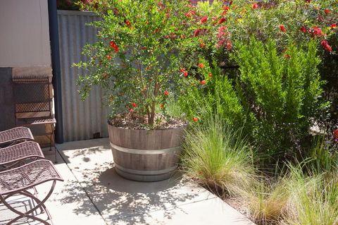 One Of A Kind Apartments - Accommodation Kalgoorlie 15