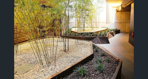 Stylish, Modern, Cute As A Button - Braddon CBD - Accommodation Kalgoorlie 2