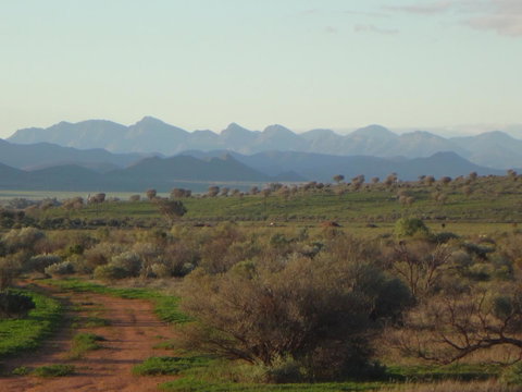 Windana Cottages - Accommodation Kalgoorlie 41