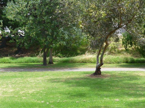 Victor Harbor Holiday Park - Accommodation Kalgoorlie 24