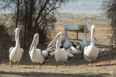 Mercure Kangaroo Island Lodge - Accommodation Kalgoorlie 15