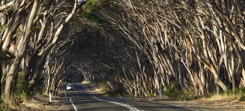 Mercure Kangaroo Island Lodge - Accommodation Kalgoorlie 40