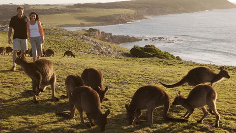 Kangaroo Island Seafront - Accommodation Kalgoorlie 13