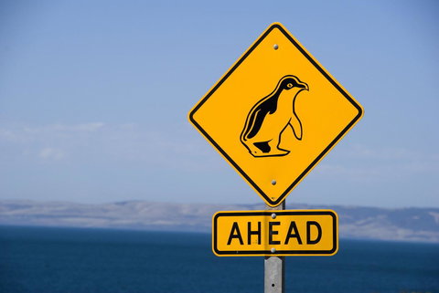 Kangaroo Island Seafront - Accommodation Kalgoorlie 43