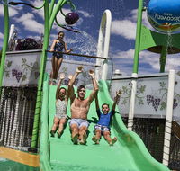 Discovery Parks  Barossa Valley - Accommodation Kalgoorlie