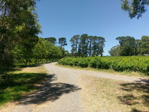 Lost In The Vines - Accommodation Kalgoorlie 28