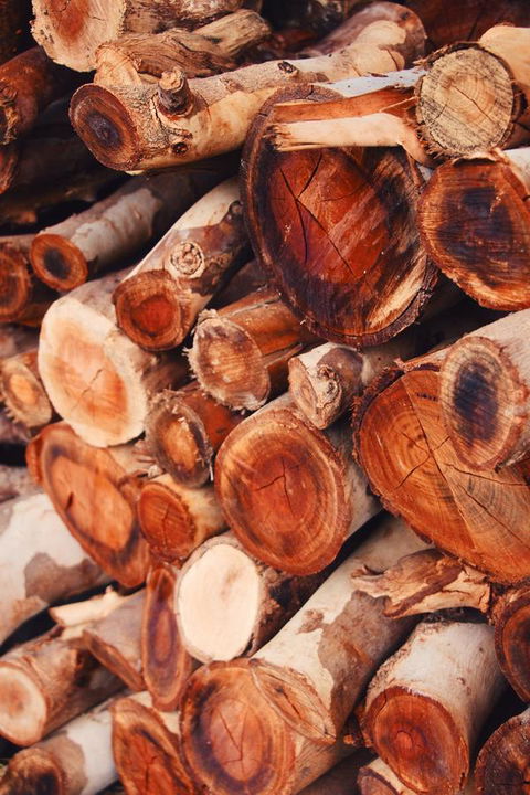 Lost In The Vines - Accommodation Kalgoorlie 20