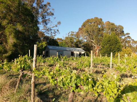 Lost In The Vines - Accommodation Kalgoorlie 25