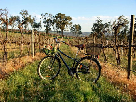 Lost In The Vines - Accommodation Kalgoorlie 17