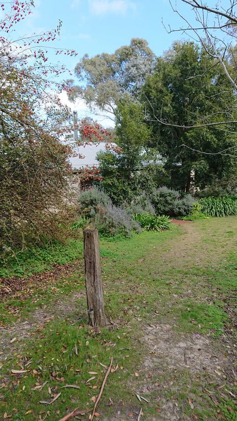 Lost In The Vines - Accommodation Kalgoorlie 21