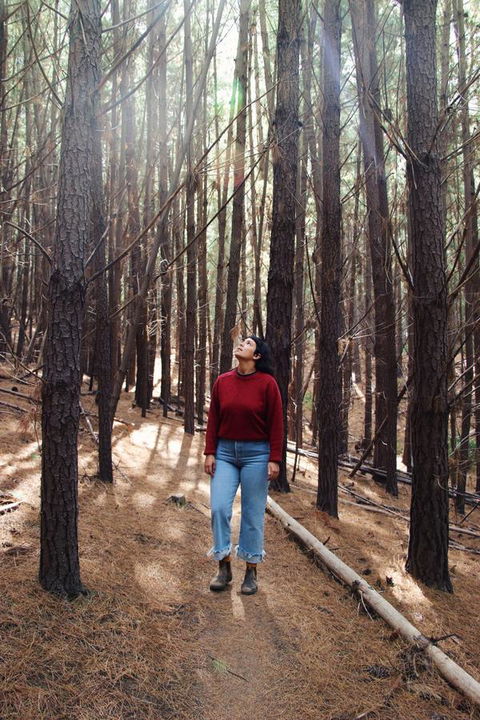 Lost In The Vines - Accommodation Kalgoorlie 19