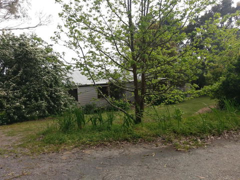 Lost In The Vines - Accommodation Kalgoorlie 24