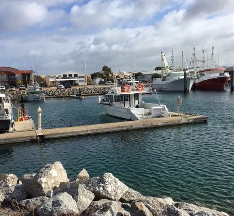 Port Lincoln Shark Apartment 1 - Accommodation Kalgoorlie 14