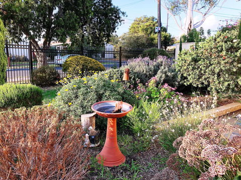 Beautiful Garden House - Accommodation Kalgoorlie 21