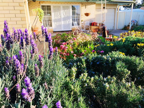 Beautiful Garden House - Accommodation Kalgoorlie 9