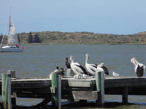 Baronet B & B - Accommodation Kalgoorlie 20