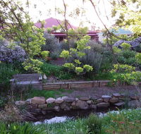 Frog Song at Willunga - Accommodation Kalgoorlie