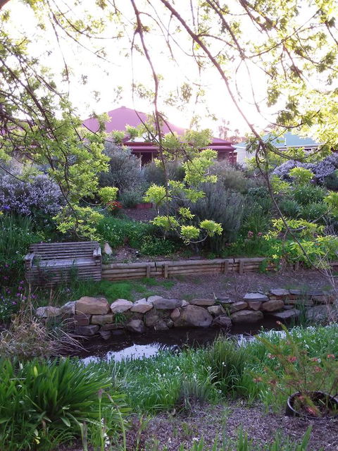 Frog Song At Willunga - Accommodation Kalgoorlie 0