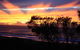 Serenity On Narrabeen Beach - 1Bdr Beachside Retreat - thumb 1