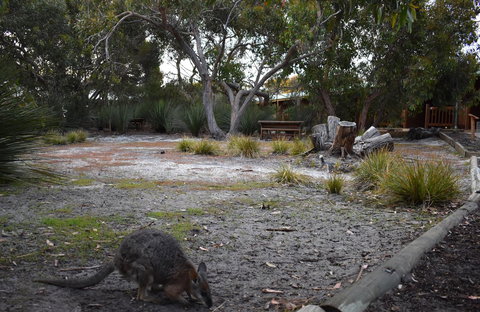 Kangaroo Island Wilderness Retreat - Accommodation Kalgoorlie 1