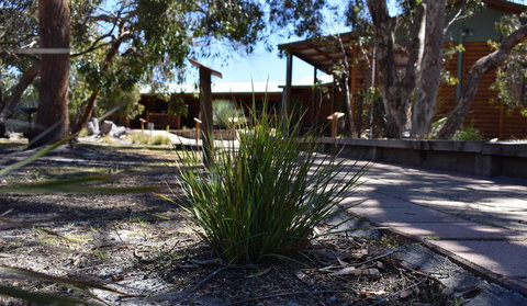 Kangaroo Island Wilderness Retreat - Accommodation Kalgoorlie 21