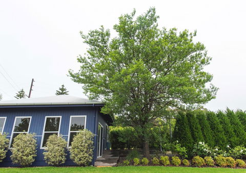 S T U D I O 22 Peaceful Retreat With Garden Views - Accommodation Kalgoorlie 11