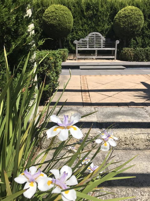 S T U D I O 22 Peaceful Retreat With Garden Views - Accommodation Kalgoorlie 13