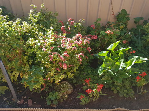 Tanunda\'s Magpie House - Accommodation Kalgoorlie 24