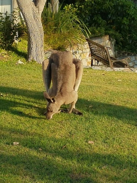 \'Point Break\' Your Waterfront Break At The Point - Accommodation Kalgoorlie 12